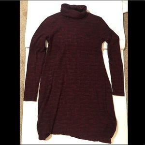 Maroon Turtle Neck Dress